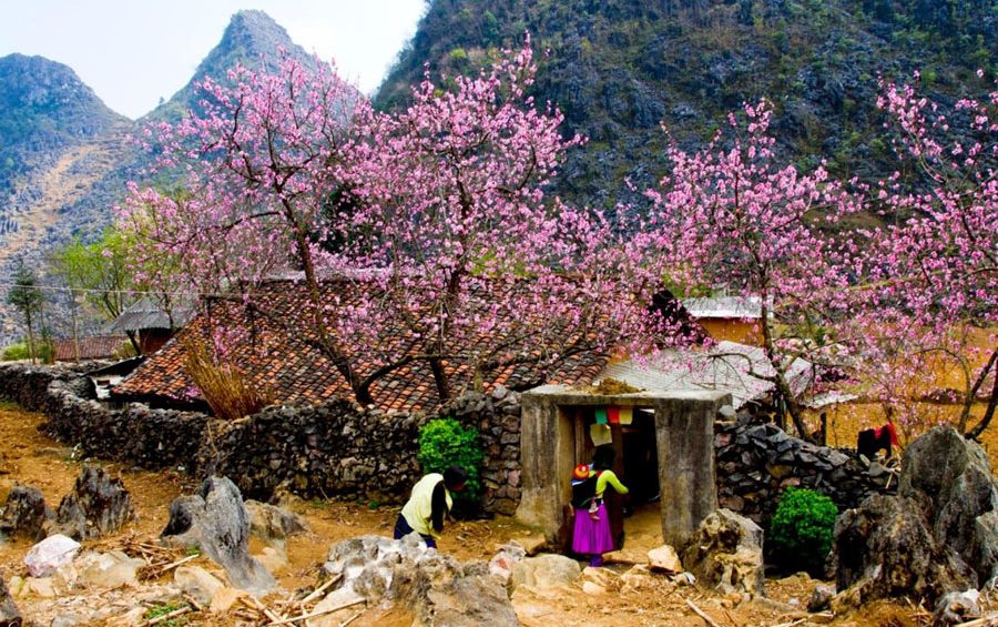 ha giang 3