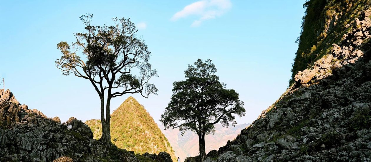 Meditours Ha Giang: Where Rocks Bloom 1