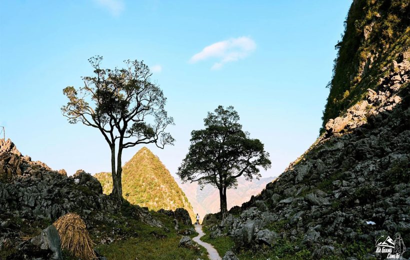 Meditours Ha Giang: Conquering The Beauty Of The Stone Plateau