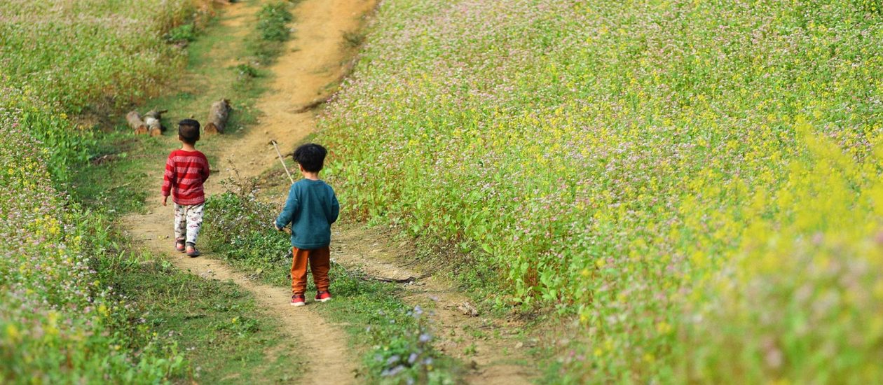 Group Tours To Ha Giang: Hoang Su Phi – Chieu Lau Thi – Bac Ha Market 2