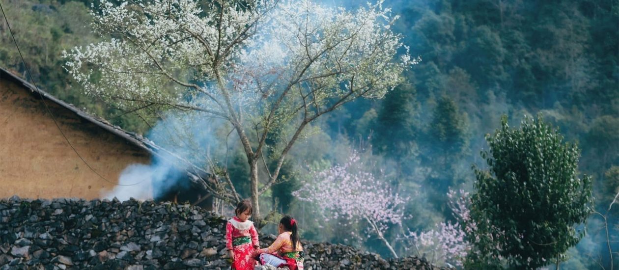 Caravan Ha Giang Tour – Buckwheat Flower 1